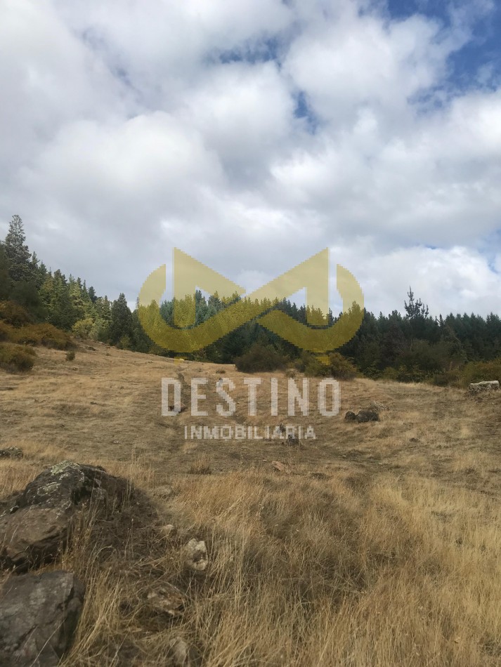 2 HECTAREAS EN VENTA - RINCON DE LOBOS, EL HOYO!