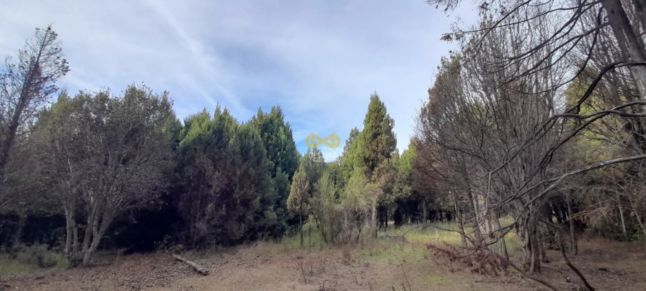 TERRENO EN VENTA, EPUYEN