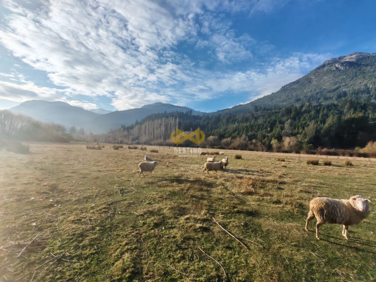 CHACRA EN VENTA, PEDREGOSO!