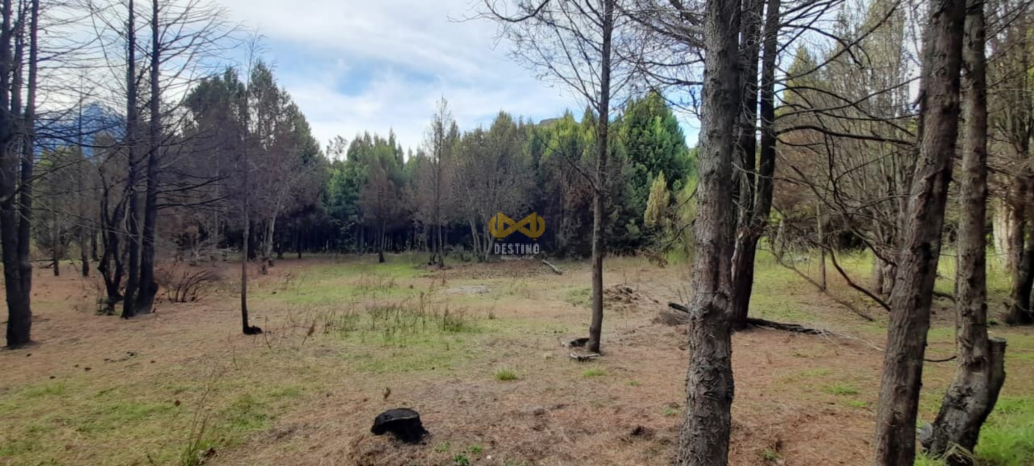 TERRENO EN VENTA, EPUYEN