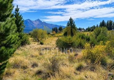 LOTE 800 M2 CENTRICO - CERCADO - A 200 MTS DE LA COMISARIA - EPUYEN