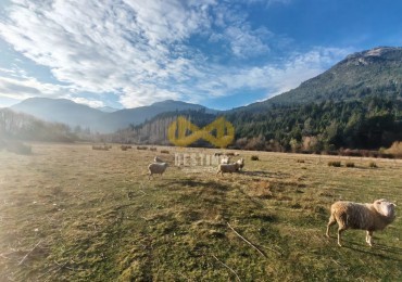 CHACRA EN VENTA, PEDREGOSO!