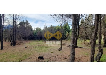 TERRENO EN VENTA, EPUYEN