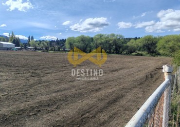 CHACRA DE 3 HECTAREAS EN VENTA, CURRUMAHUIDA